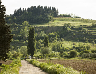 Dirt road to a farm in rural Italy