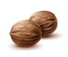 Two whole walnuts