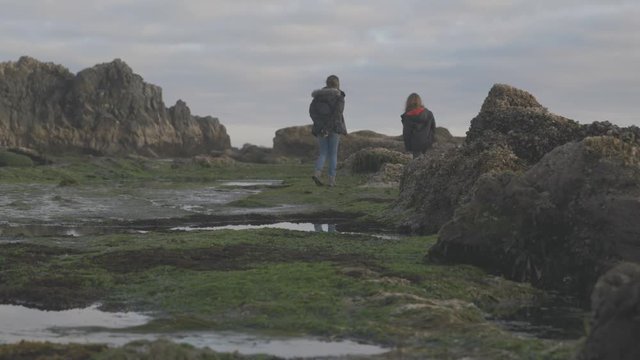 mother and son exploring the tide pools along the pacific northwest'