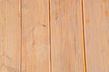 closeup, tree, stripes, texture.