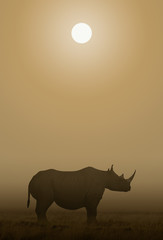 African Rhino Sawanna © ratpack223