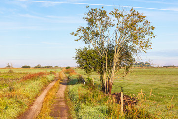 Fototapeta premium Dirt road
