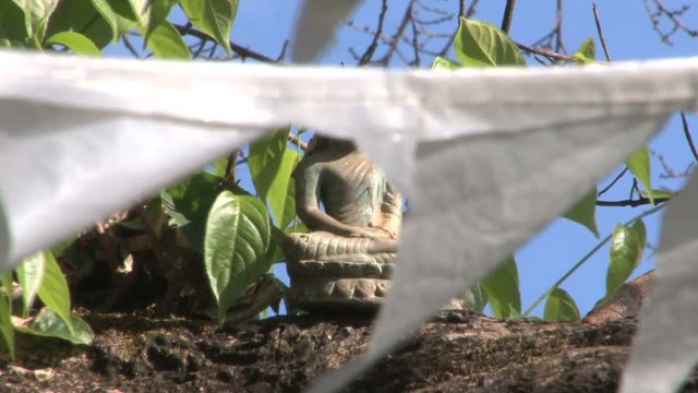 Buddha statue and praying flags in Bodhi-tree