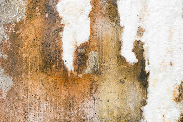 Old concrete wall texture or Grunge color background wall. Style toned texture.