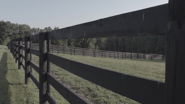 Field at horse Farm
