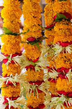 Fresh flowers