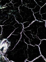 czarna gleba © Karolina