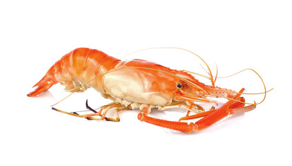 Grill giant river prawn isolated on white background