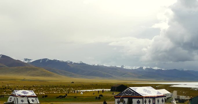 4k huge clouds mass rolling over lake namtso,tibet mansarovar,herdsman tent,a group of cow,Tibet's second largest lake,is the third largest saltwater lake in China.
