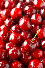 Cherry background. Full frame of fresh ripe cherries. Red background texture.