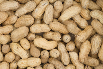 Raw peanuts in shells