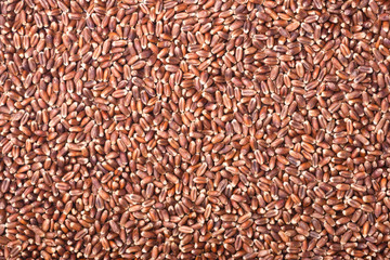 food background of raw rye, top view