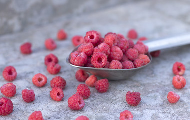 small fruit raspberries in the metallic spoon