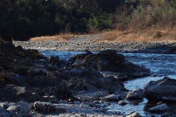 川の風景