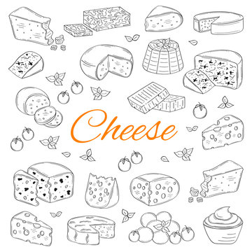 Vector set of various types of cheese, hand drawn illustration isolated on chalkboard background.