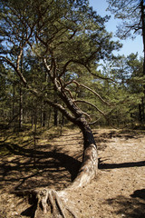 Sand, dunes and blue sky