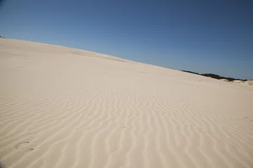 Gardinen Sand, dunes and blue sky © lucek616
