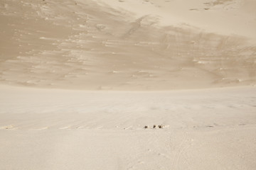 Sand, dunes and blue sky