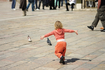 Fototapeta premium Chasing pigeons