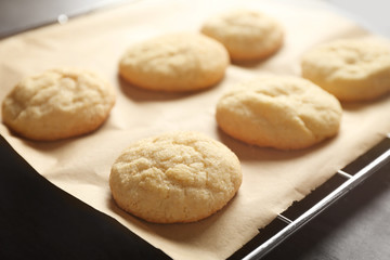 Tasty sugar cookies on parchment paper, closeup