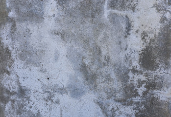 cement wall