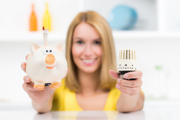 hausfrau spart energiekosten