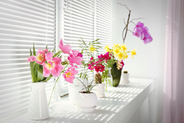 Beautiful flowers and home plants on windowsill
