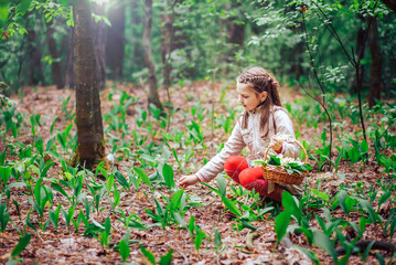 beautiful little girl picking Lily of the valley in the woods