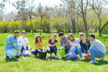 Group of volunteers in park on sunny day