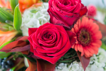 Rote Rosen