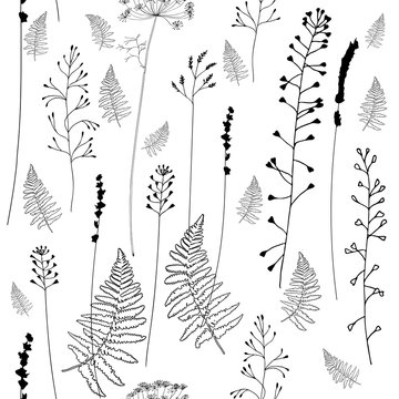Vector seamless patten with hand drawn wild flowers, herbs and grasses. Silhouettes of different plants - fern leaves, shepherds purse, lavender, dill, queen anne lace in black on white background.