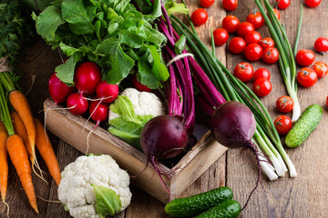 Harvest still life. Food composition of fresh organic vegetables