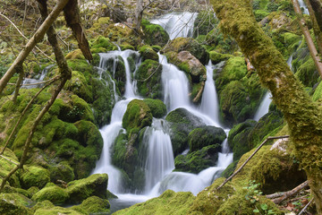 Fototapeta premium La Tobería - 60