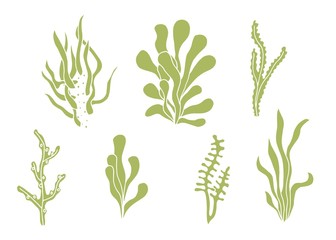 Seaweed vector silhouette set
