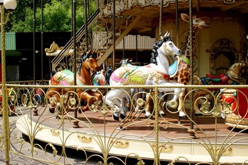 Carousel atraktsiony, ferris wheel