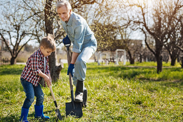 Senior gardener and his grandson digging ground together