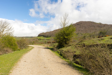 Near the village of fontibre in cantabria