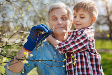 Senior gardener spending free time with grandson in yard