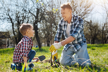 Male family members spending time in garden together