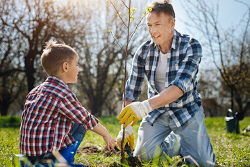 Naklejka na ściany i meble Father showing his son how to plant trees
