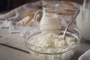 Fresh dairy products. Milk, cottage cheese, sour cream and wheat on rustic wooden background.