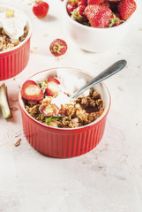 Healthy breakfast. Oatmeal granola crumble with rhubarb, fresh strawberries and blackberries, seeds and ice cream in baked bowls, decorated with mint, on white stone concrete table, copy space