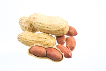 Peanut isolated on white background