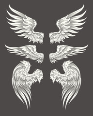 Set of vector illustrations of angelic or bird wings isolated on dark background, sketch, design element for tattoo