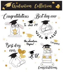 Graduation set collection
