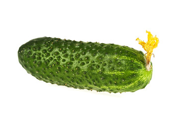 Fresh cucumber isolated over white background