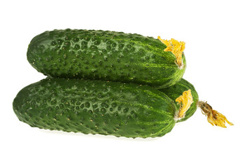 Three fresh cucumbers isolated on white background, close-up