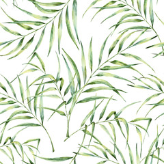 Fototapety  Akwarela wzór z liści palmy. Ręcznie malowana gałąź zieleni egzotycznej. Ilustracja botaniczna. Do projektowania, drukowania lub tła