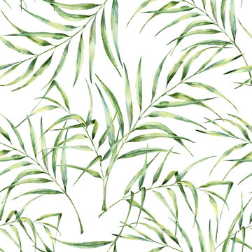 Watercolor pattern with palm tree leaves. Hand painted exotic greenery branch. Botanical illustration. For design, print or background