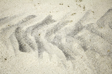 Wheel tracks on floor